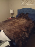 Bison (Buffalo) Hide / Robes