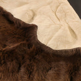 Bison (Buffalo) Hide / Robes